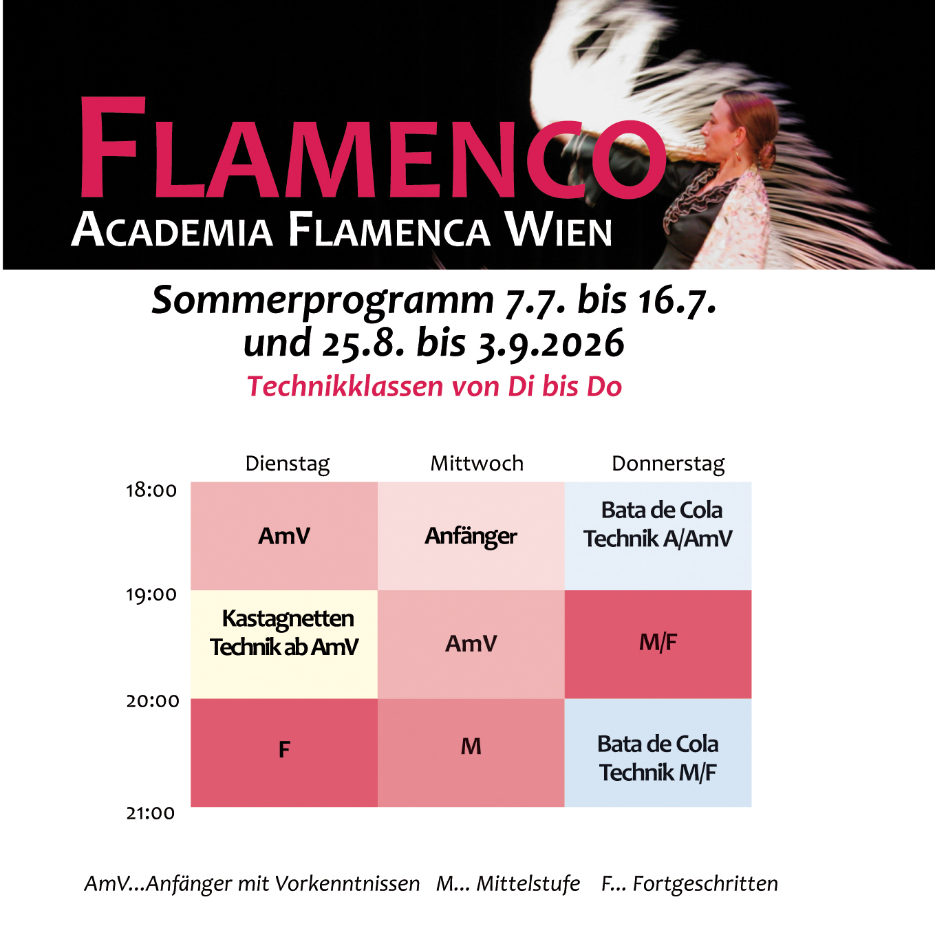 Sommerkurse 
