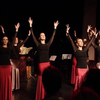 Flamencoklassik4
