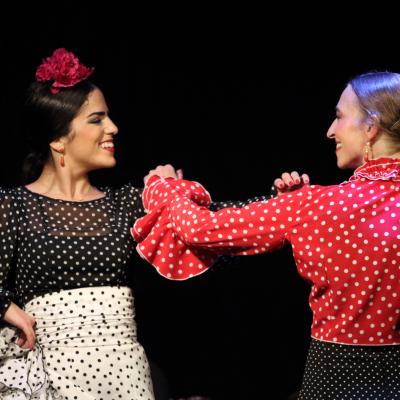 Flamenco y más