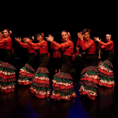 Flamencolores