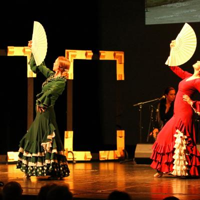 Miraflamenco3