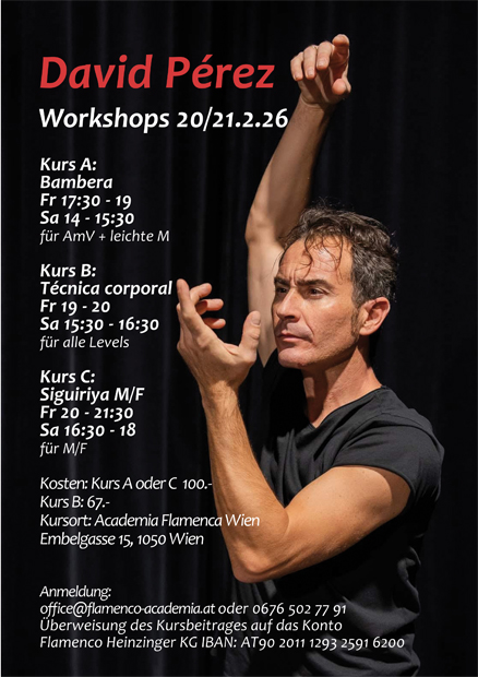 David Perez Workshops